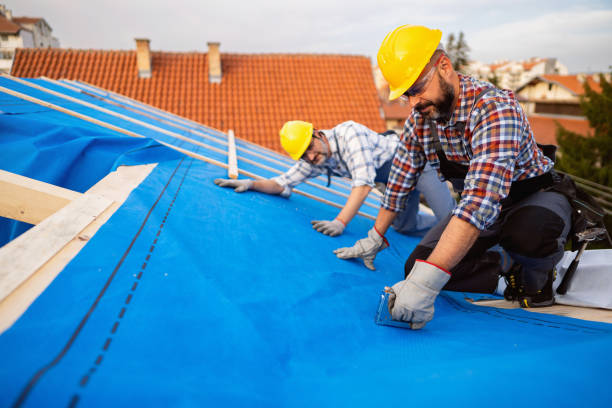 Roof Gutter Cleaning in Tomahawk, WI